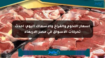 أسعار اللحوم والفراخ والأسماك اليوم: أحدث تحركات الأسواق في مصر الأربعاء
